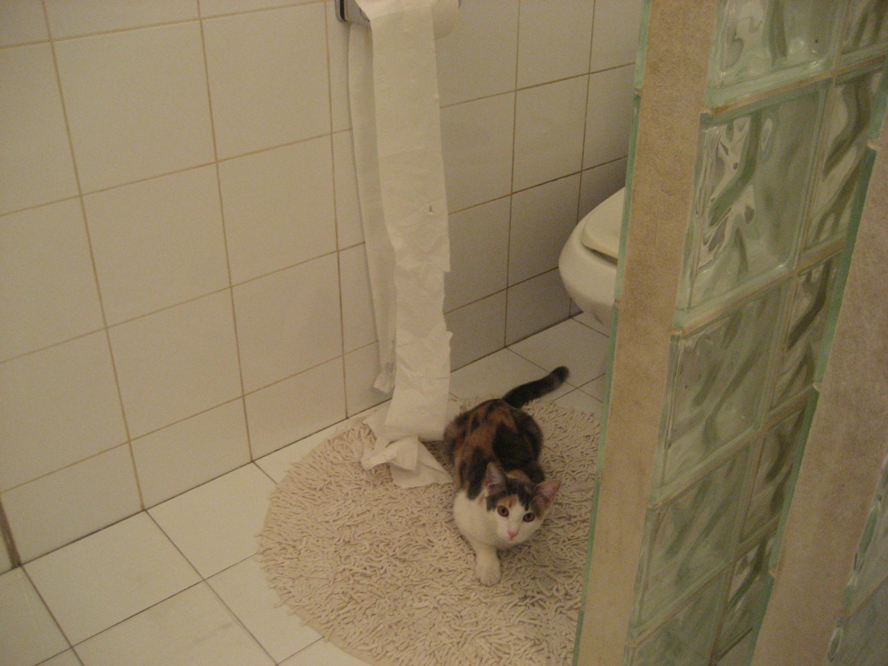 平行时空的孤星风暴,当范弗利特与独行侠空降山西