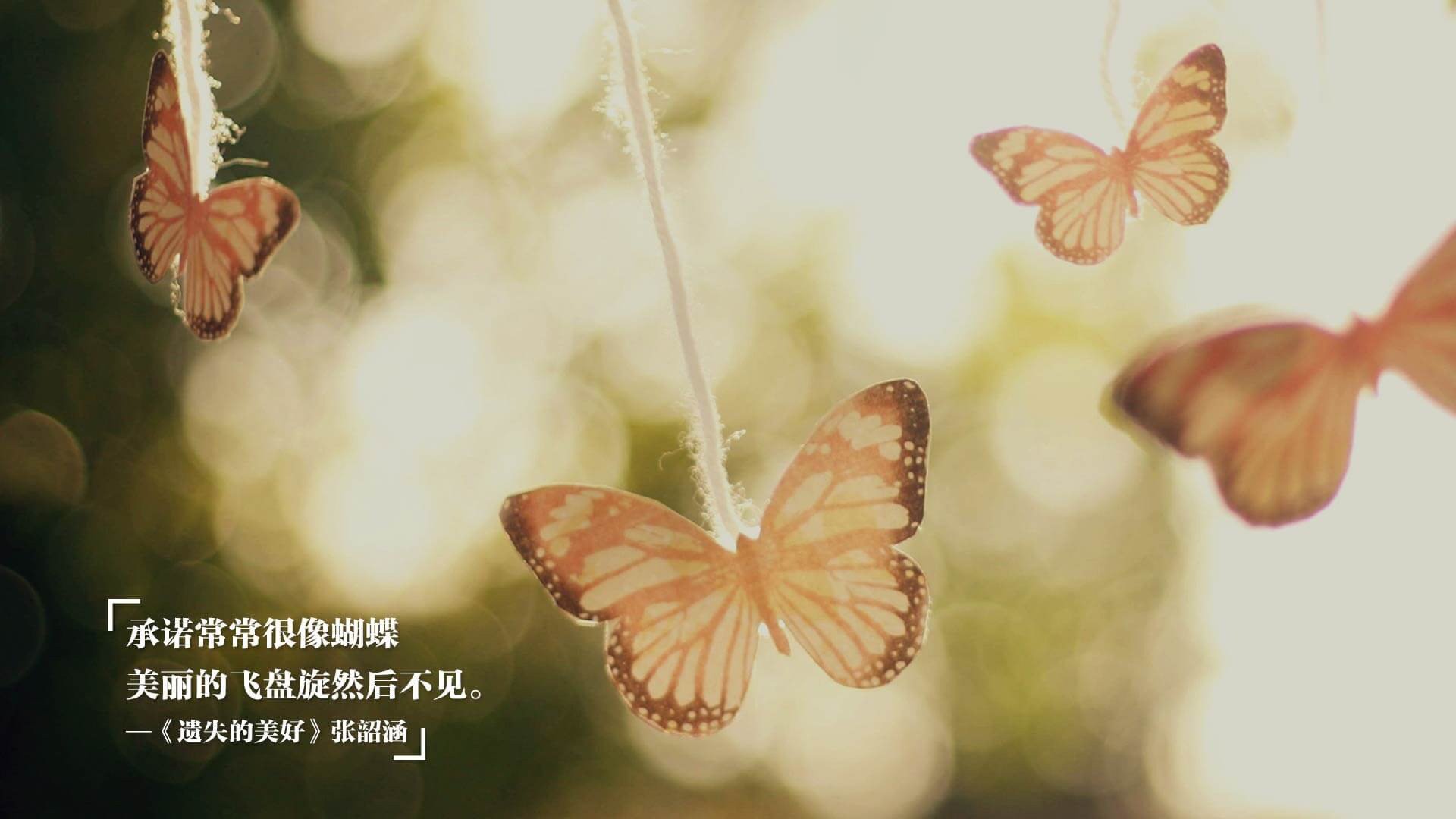 火山岩上的足球诗篇,佩德里一记惊雷,冰岛险胜打破郁金香神话