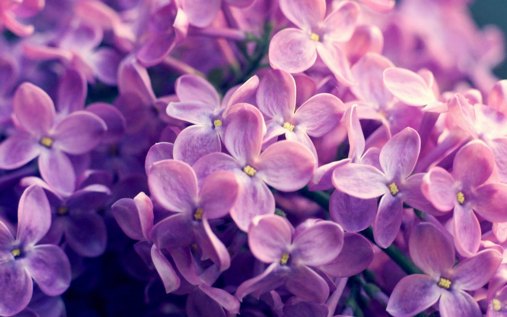 当风暴遇到磐石，卡拉斯科爆发，希腊强行终结西班牙