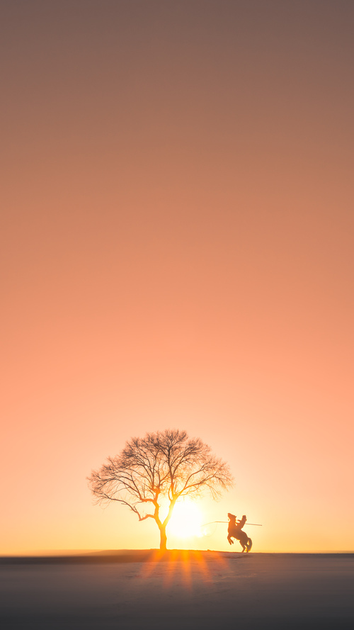 草根逆袭的智慧,黄蜂如何用非典型战术撕碎掘金王朝蓝图?