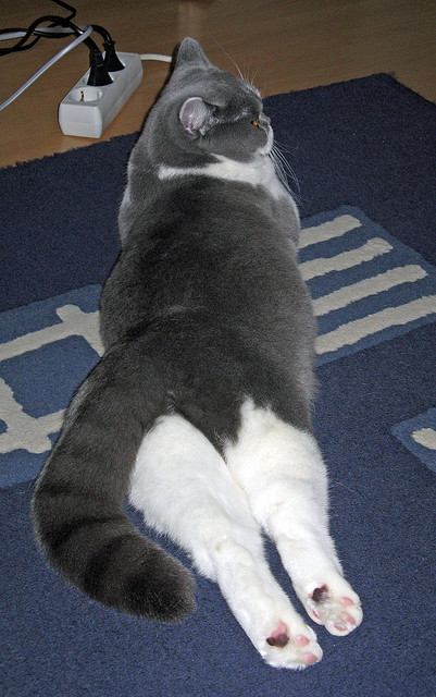 红牛风暴席卷南美,格列兹曼致命一击诠释何为一波带走