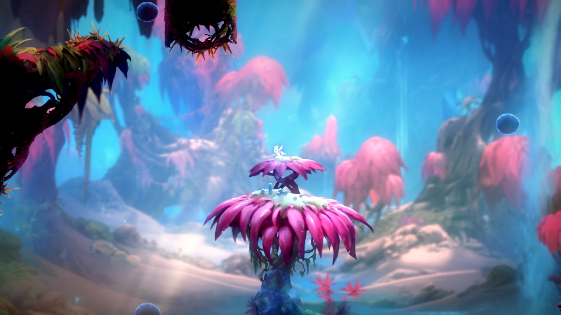 超越篮球的戏剧性，布克生涯之夜与马刺式绝杀的跨时空对话