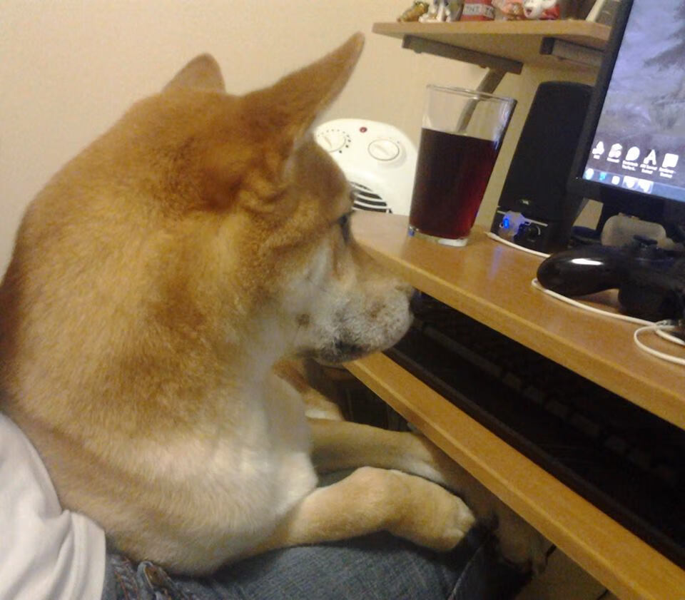 红与蓝的宣言，卡拉斯科的烈焰如何点燃新赛季之夜