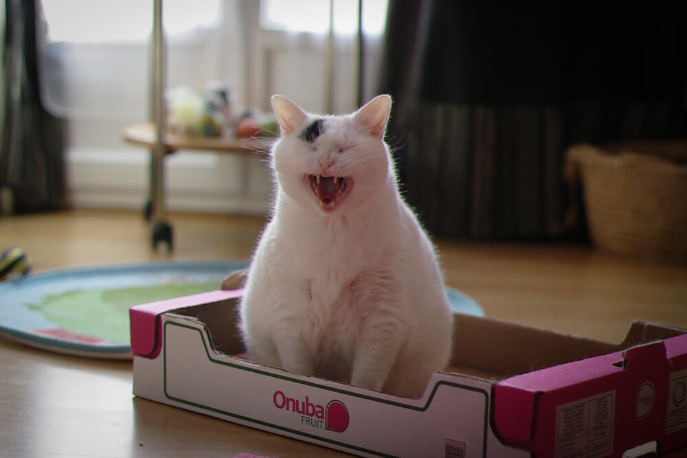 篮网最后时刻击败热火，保罗冠军级表现铸就传奇