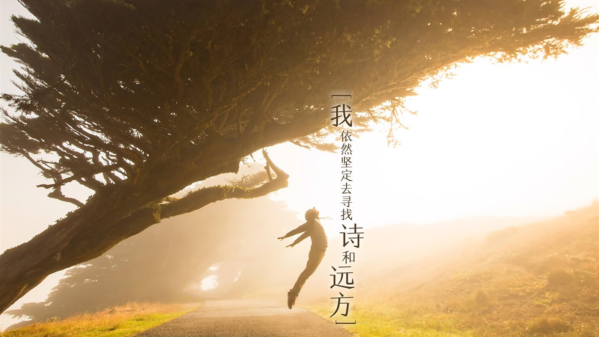 东瀛武士的绿茵宣言,意甲焦点战背后,日本足球如何正面击溃美国模式?