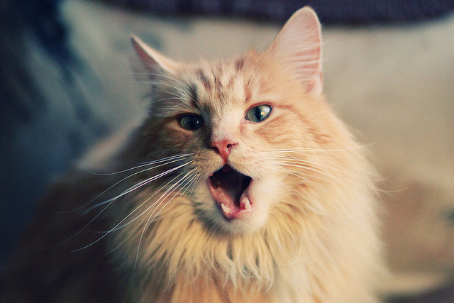 爵士乐掌控迈阿密,当节奏成为武器,拉文演奏终章