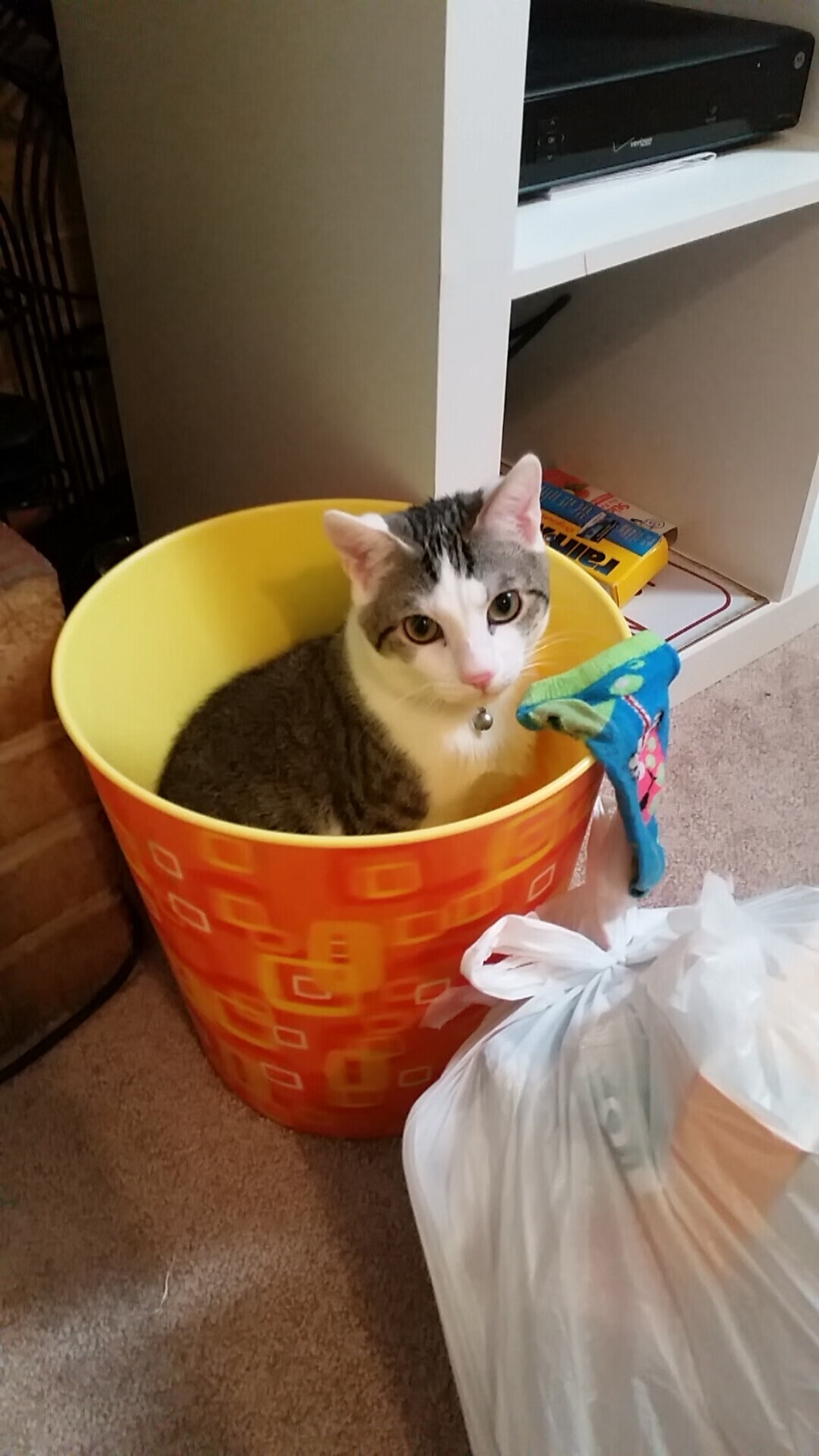 篮球宇宙的碰撞，马克西爆发的启示与新疆队如何全面压制湖人式球队