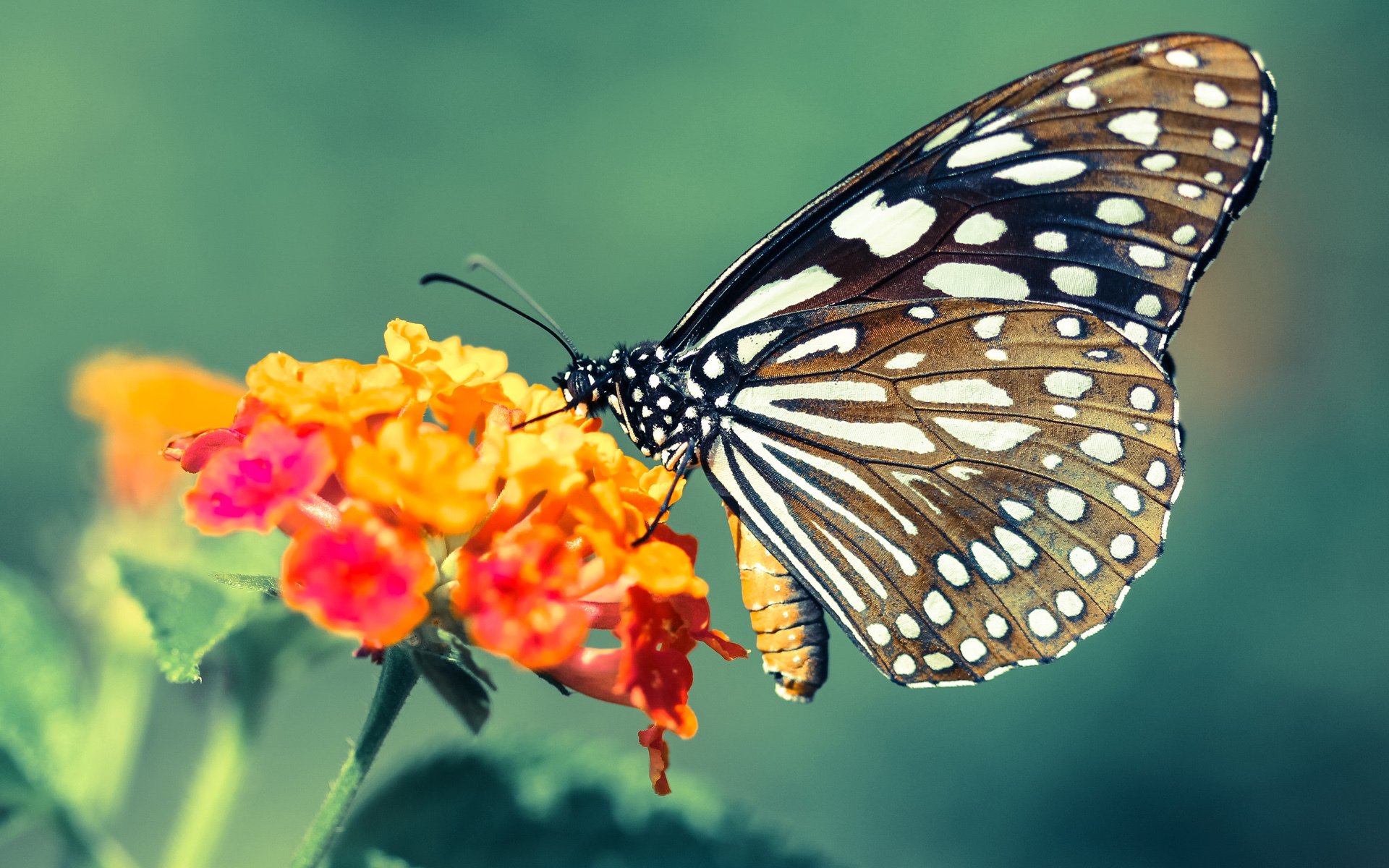 异域同频，当山西的防守反击遇见F1赛道的终极超车—论体育世界不可复制的神之一手