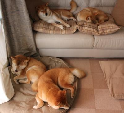 当NBA在英超登顶,体育世界的平行宇宙奇观