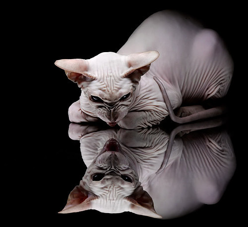 遥远共鸣,拉梅洛国家德比灵光与步行者铁血压制的平行叙事