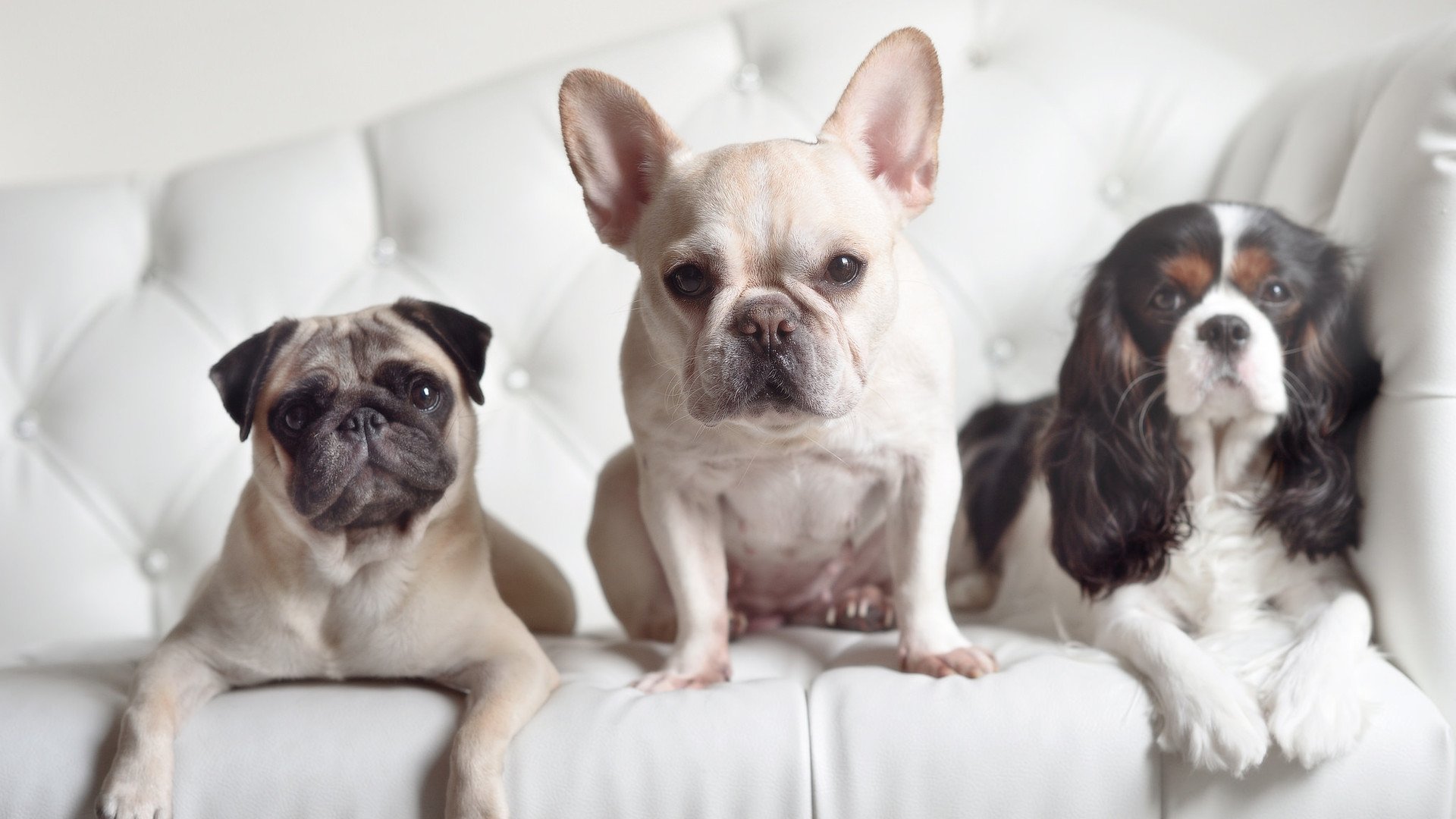 冰火交响曲，新疆火焰吞没菲尼克斯，伦纳德冰川下奏响冠军序章