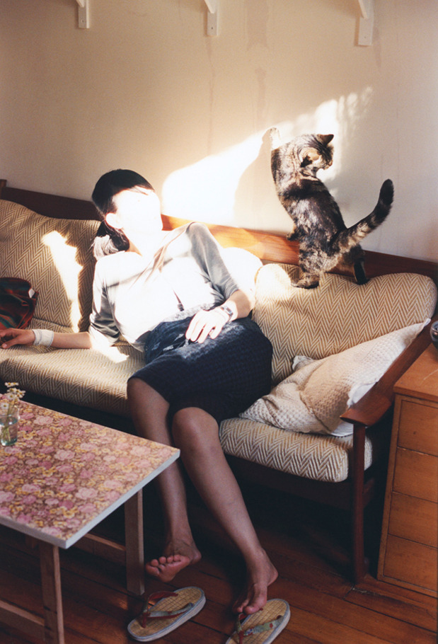 当东方巨龙凝视好莱坞，上海大鲨鱼破壁之夜与西亚卡姆的世纪接管