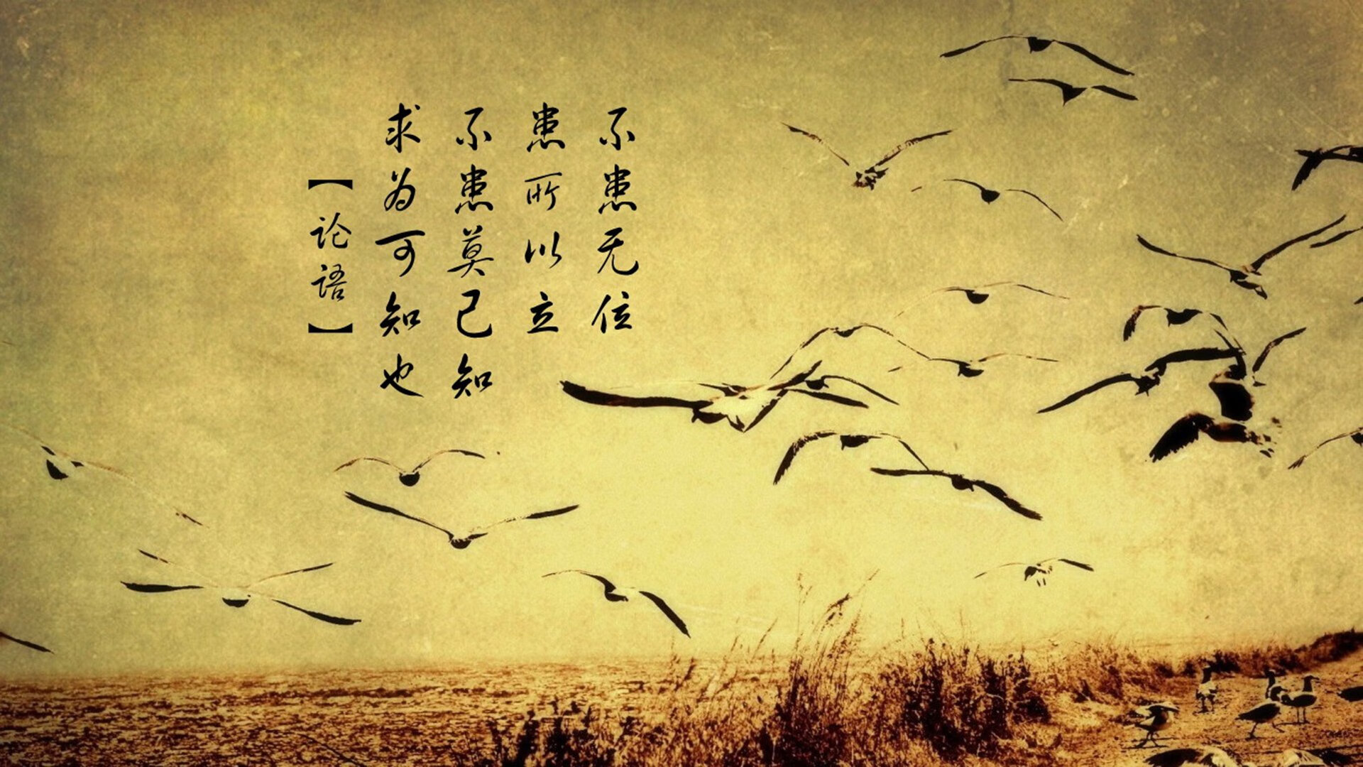 绿茵场上的独舞，2026世界杯B组，喀麦隆完胜伊朗，福登控场诠释唯一性